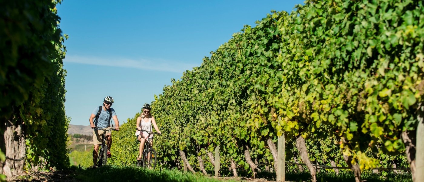 Unique bike tour at Brancott Estate in Marlborough, New Zealand